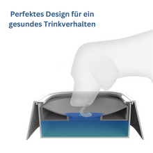 Lade das Bild in den Galerie-Viewer, Pet Bowl - Antischwapp Wassernapf (15% Rabatt)
