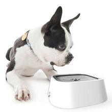 Lade das Bild in den Galerie-Viewer, Pet Bowl - Antischwapp Wassernapf (15% Rabatt)
